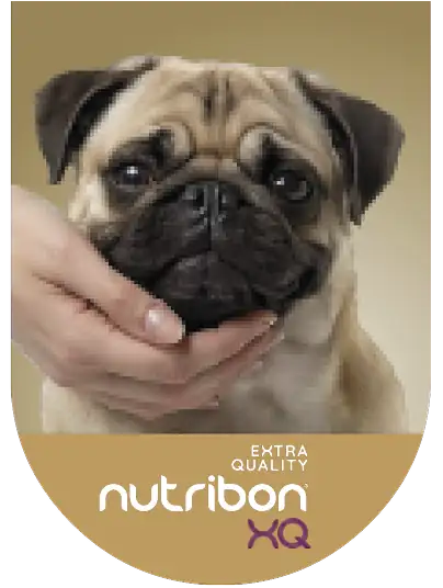 imagen slider