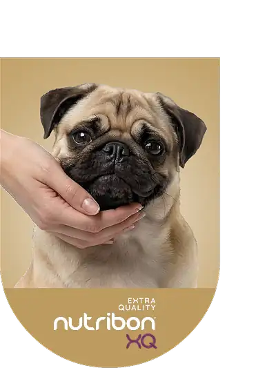 imagen slider