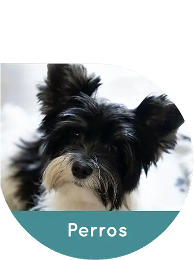 imagen slider