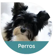 imagen slider