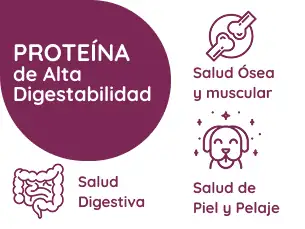 logo-empresa