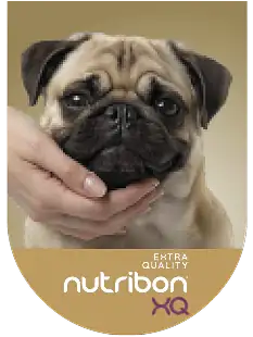 imagen slider